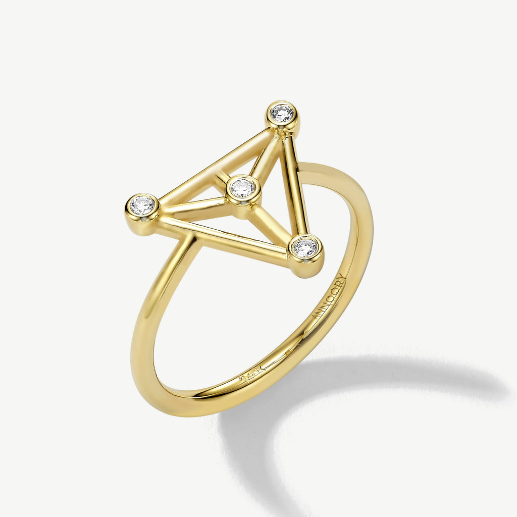 Emotional Coordinates Diamond Ring