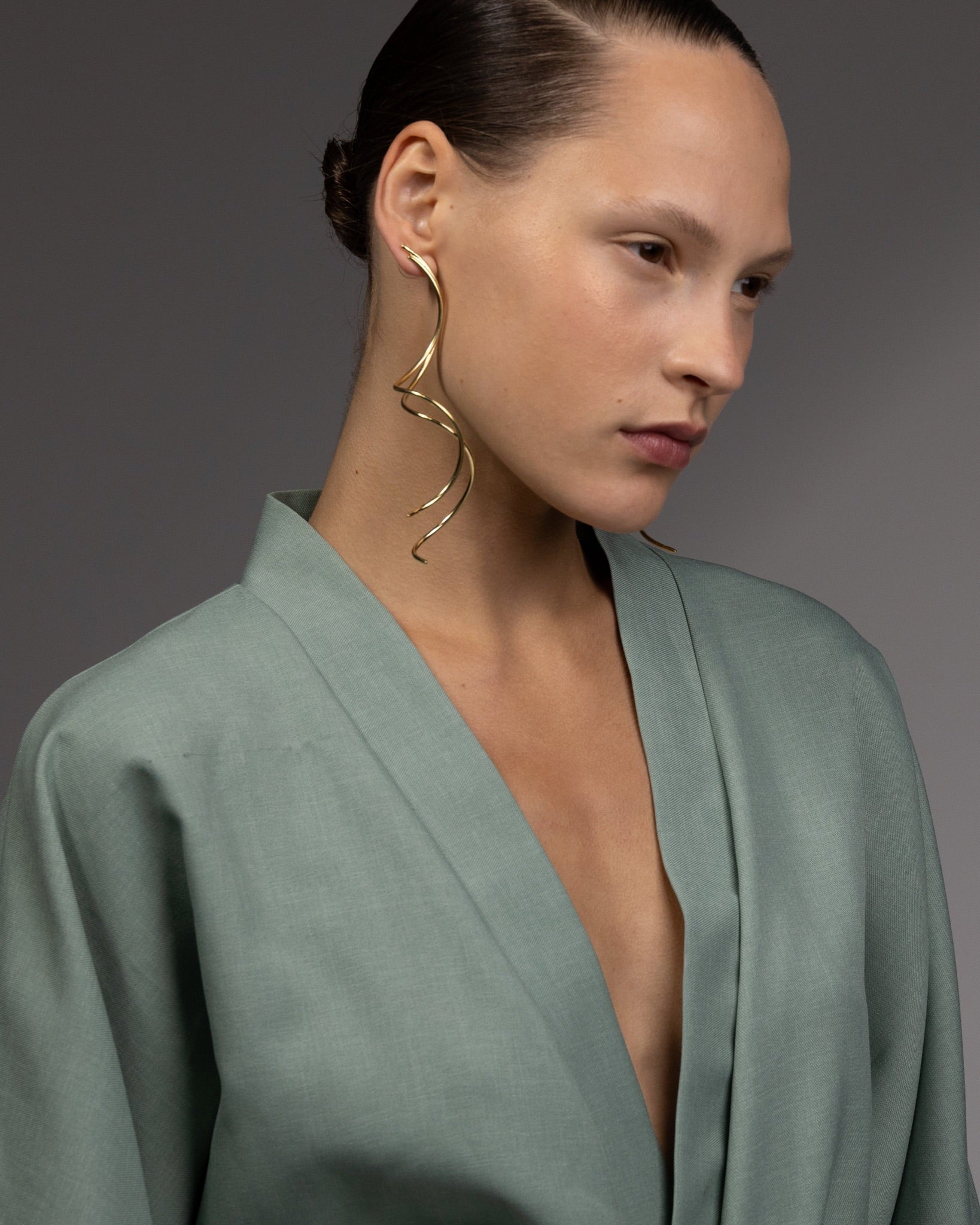 Long Snake Earrings